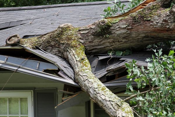 Storm Remediation in Titusville