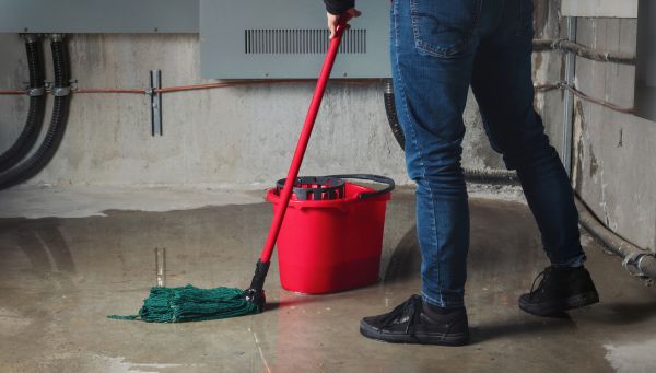 Flooded Basement Cleanup in Titusville