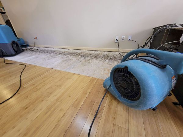 Water Damage Mitigation in Titusville