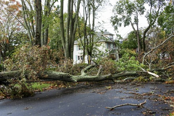 Tornado Damage Repair in Titusville