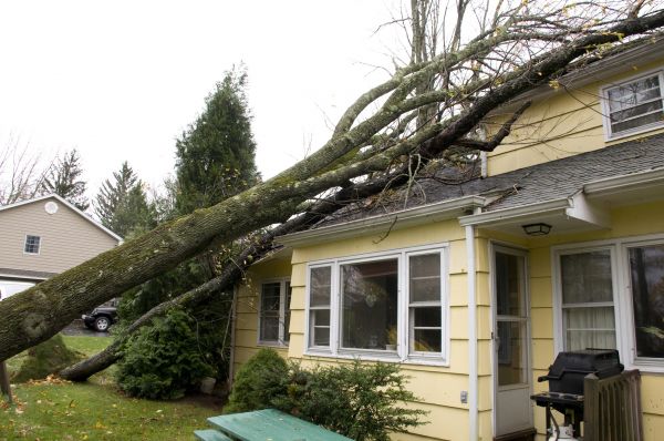 Hurricane Damage Repair in Titusville
