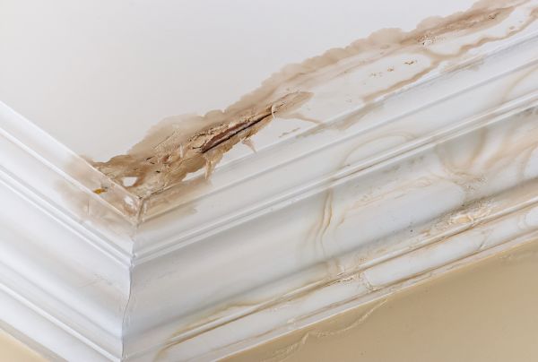 Water Damage Recovery in Titusville